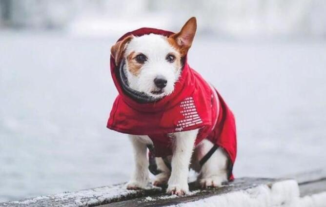 关于简单率真的句子文案