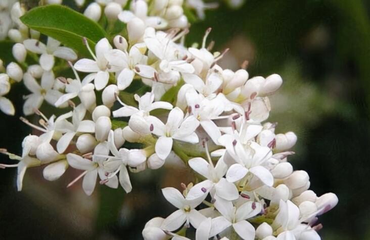 发给朋友的早上好短句