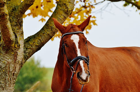 调侃朋友谈恋爱的句子文案