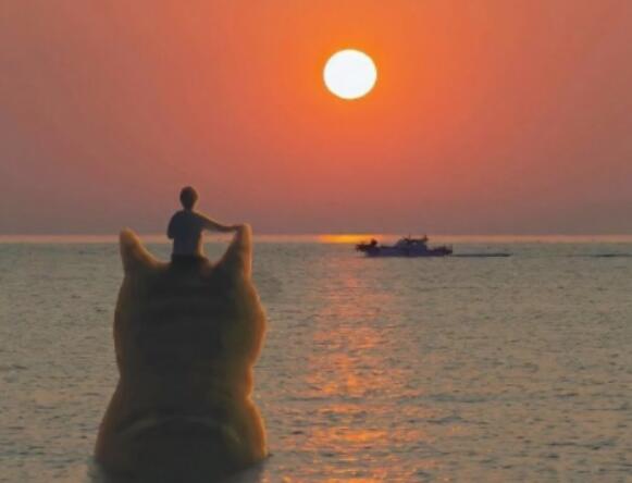 关于言多必失精辟句子文案