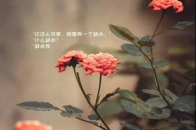 女人成熟句子文案说说心情