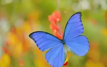 简简单单的幸福的短句八个字