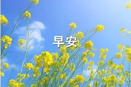美好春天早安问候语