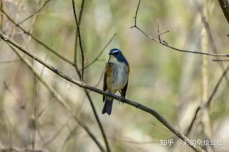 文艺的说说文案短句