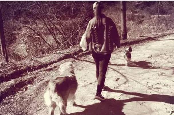 对狗狗表白最温暖的话