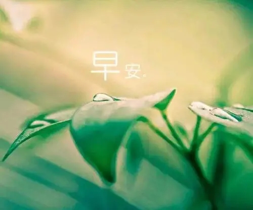 唯美早上好的句子文案