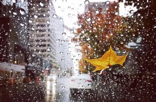 夏天下雨描写唯美句子文案