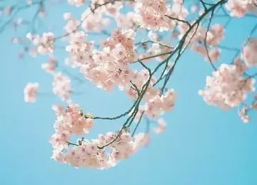 形容突如其来的句子文案