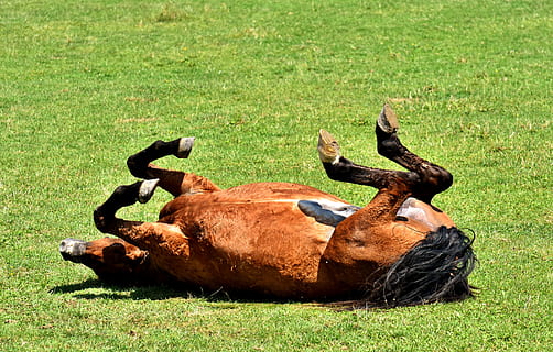 表达我在等你的句子文案