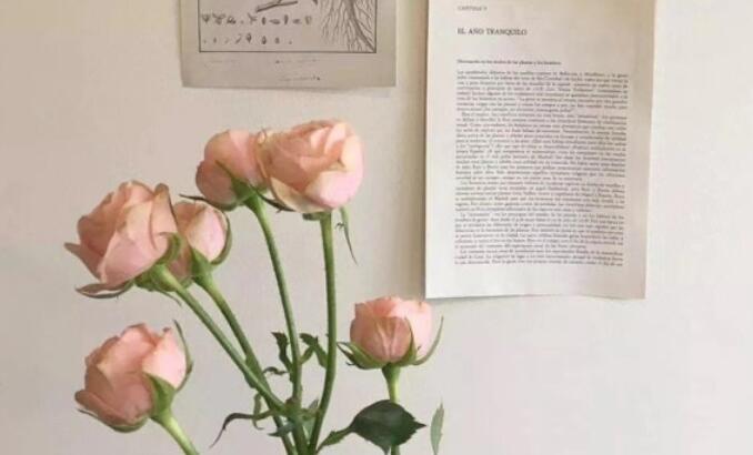 干净温柔的治愈系文案