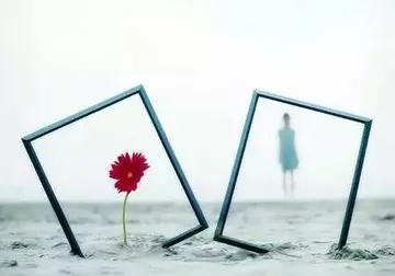 好的经典语录文案