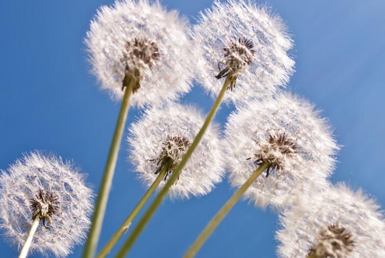 抖音励志文案致自己