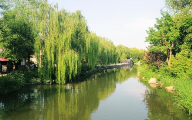 情感伤心语录文案文字