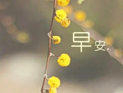 销售早安正能量说说文案朋友圈