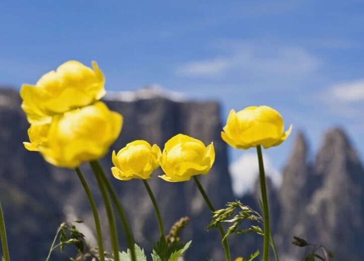 工作早安正能量句子文案