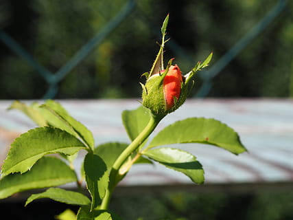 人生感悟句子文案珍惜真爱