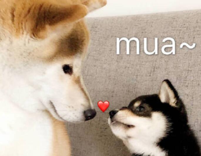 祝自己结婚的句子文案简单