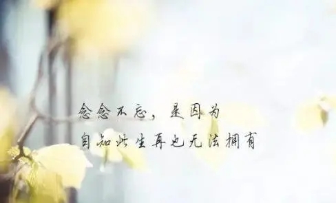 形容人简单干净的句子文案