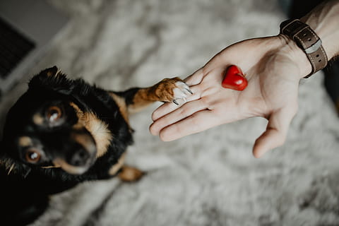 问老公几点回来的幽默句子文案