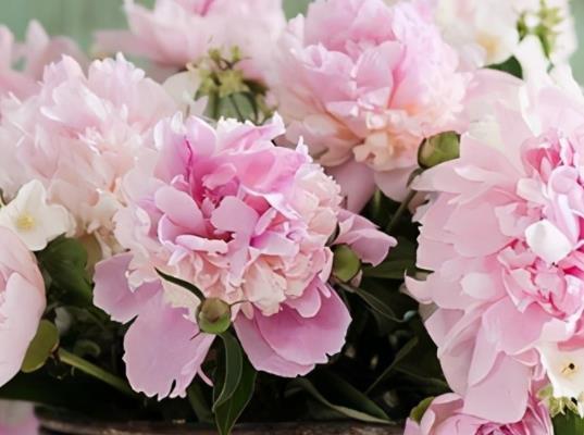 风趣幽默的撩妹句子文案