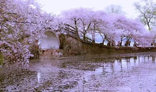 适合春天的浪漫句子文案