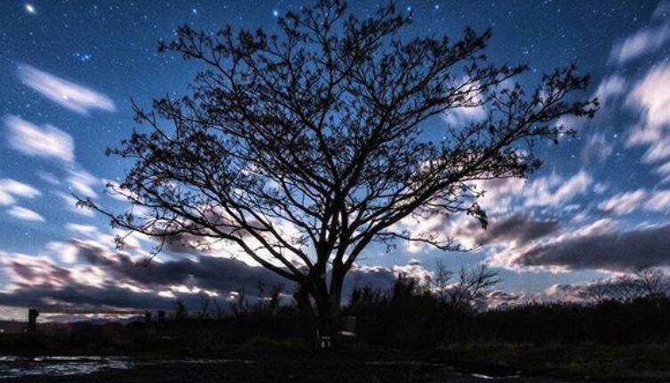 夜深等待一个人的句子文案
