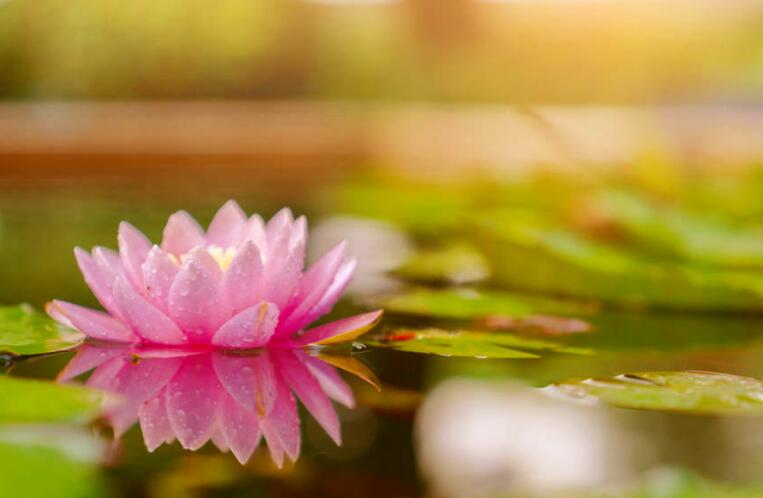 描写夏季雨后凉爽的诗句文案