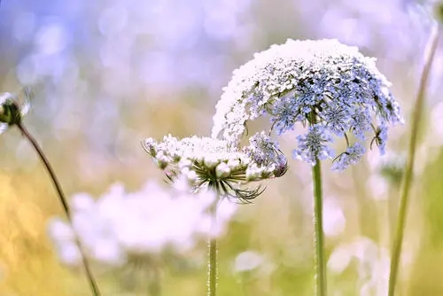 关于描写春天的优美句子文案