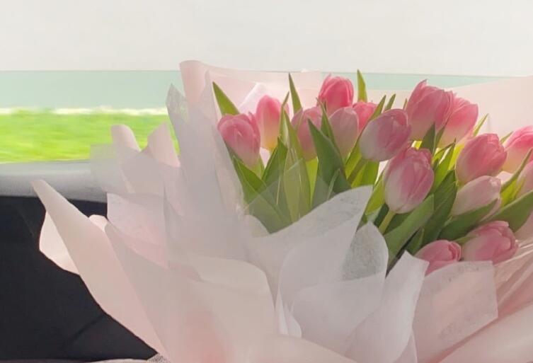 温柔干净的短句