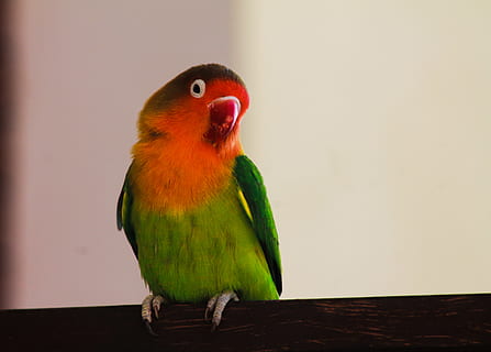 对婚姻失望的句子文案