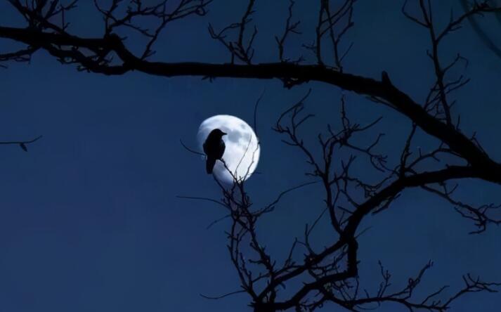 文言文心情压抑的句子文案