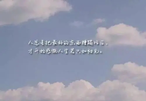 描写世间万物美好的句子文案