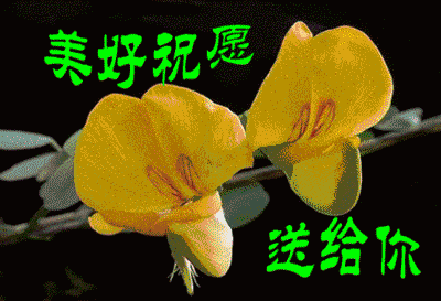 做亲爱的动态图片大全