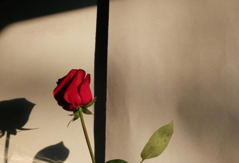 喜欢一样东西的唯美句子文案