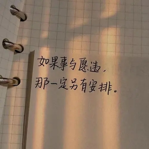 事与愿违的的经典语录文案