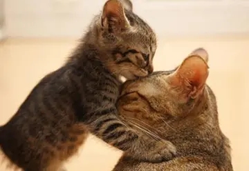 气死看不惯我的人说说文案