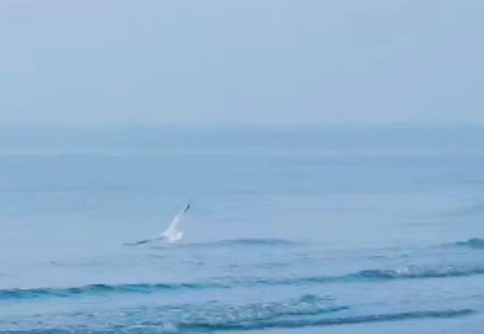 心灰意冷厌世轻生的说说文案