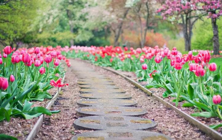 不知道如何诉说心情的句子文案