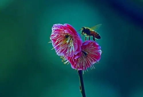 赞美四季的优美句子文案