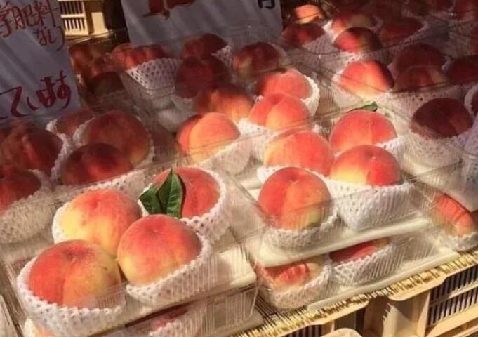 青春励志语录文案及赏析