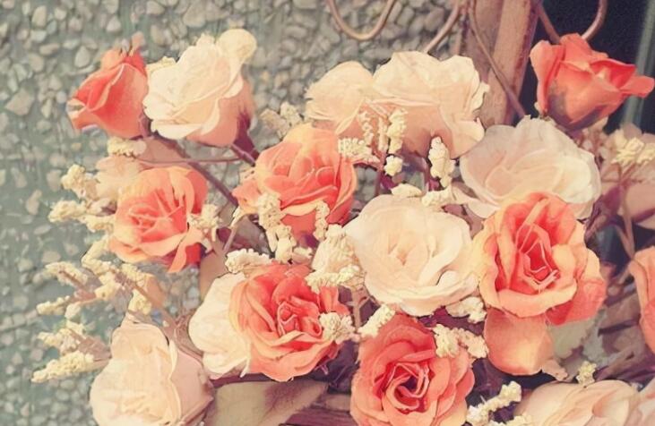 温馨问候早上好的句子文案