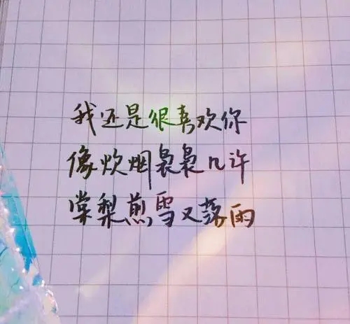 关于偏爱的唯美句子文案