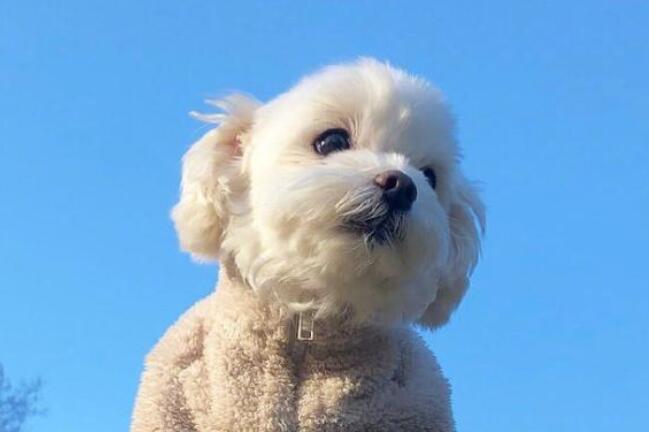 励志正能量句子文案