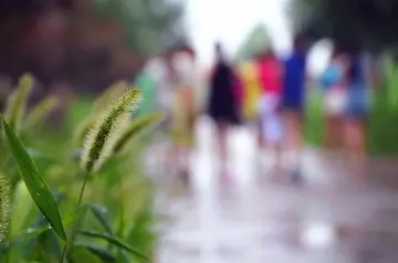 一起走过的岁月句子文案