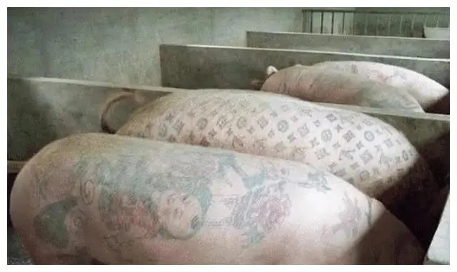 关于纹身的句子文案25句