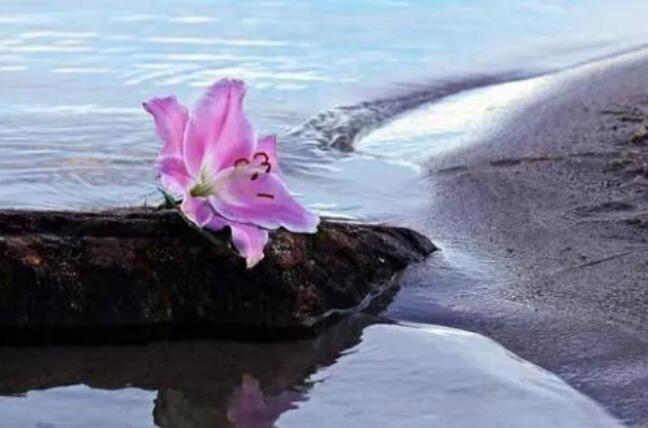 沉的住气的经典语录文案