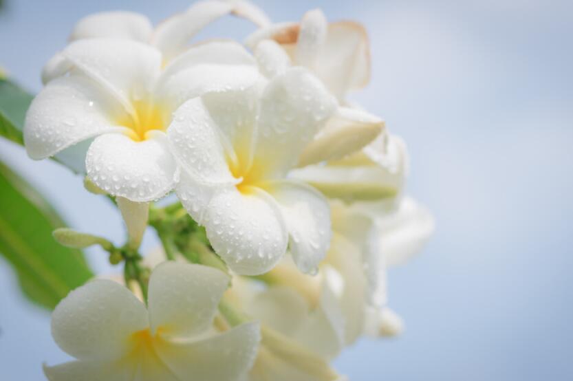 简短励志句子文案10字以内