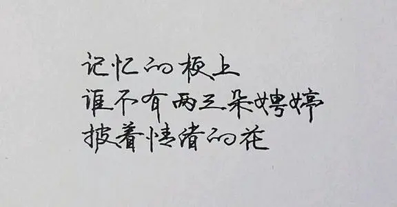 好句文案摘抄大全15字