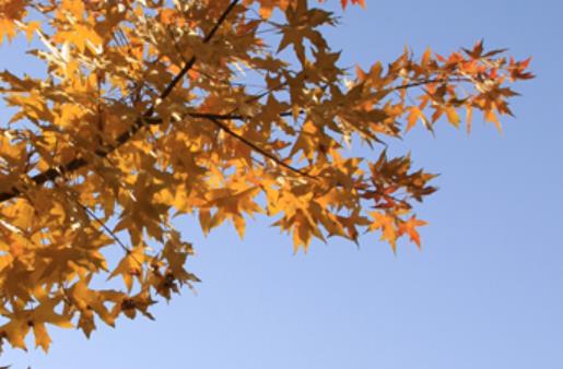 安慰失恋句子文案