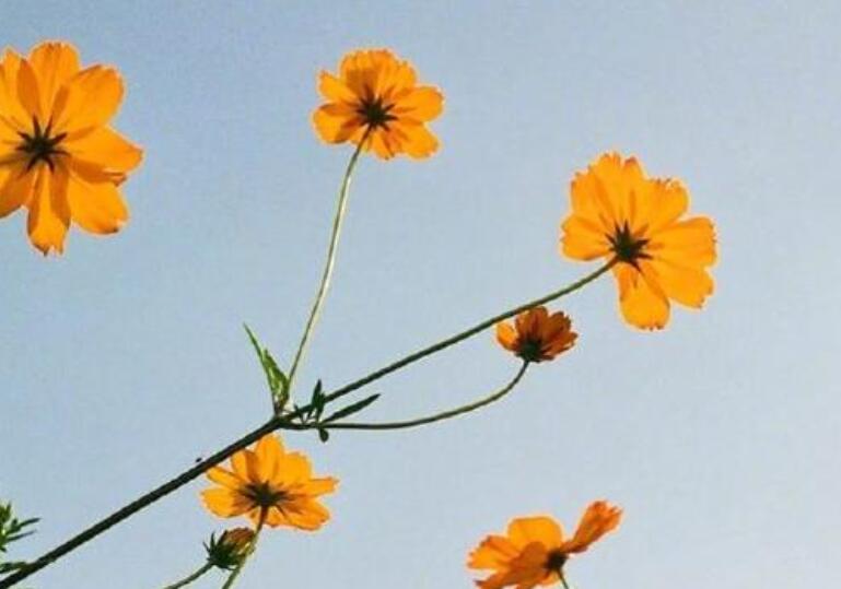 一生很短好好珍惜的说说文案